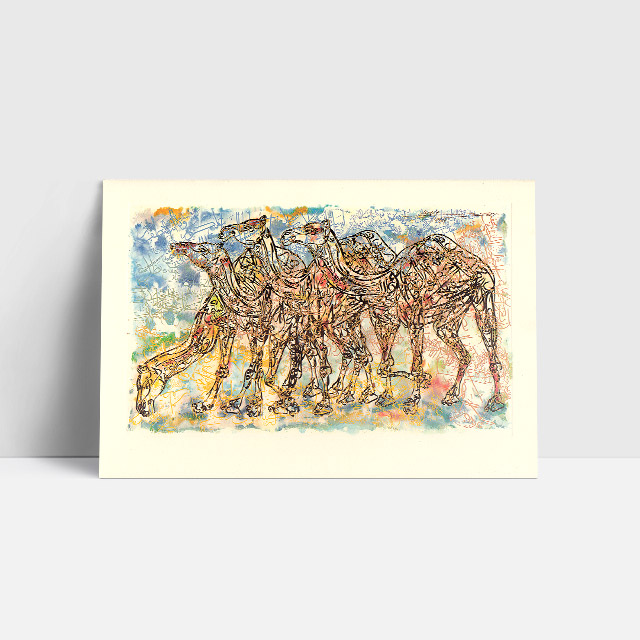 The Camels - card
